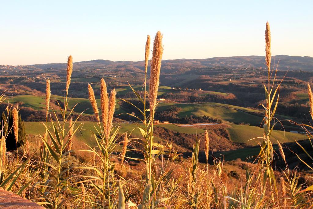Agriturismo Le Docce Castelfiorentino Luaran gambar